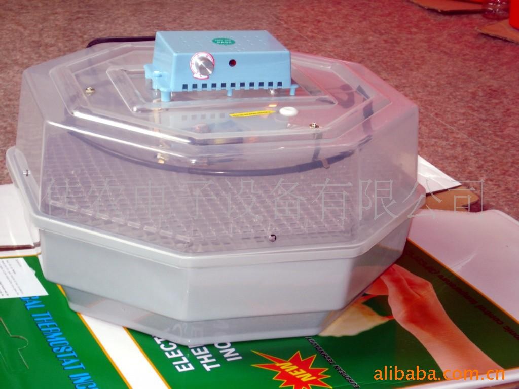 供应微型孵化箱，孵化机，孵化器图3