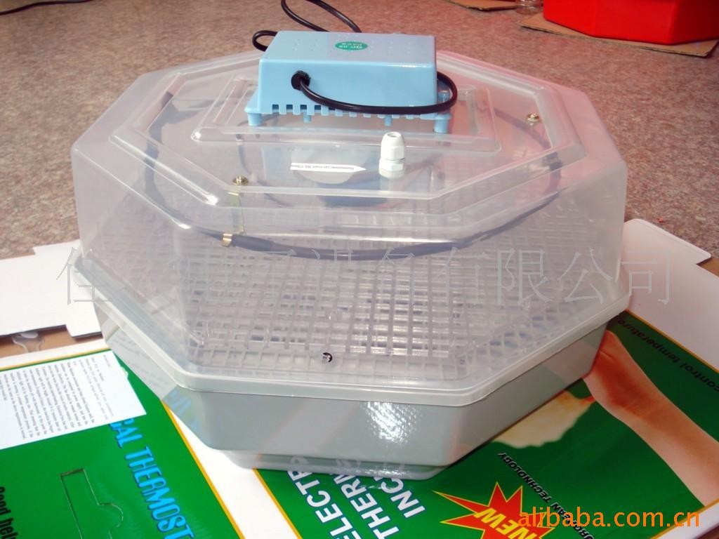 供应微型孵化箱，孵化机，孵化器图4