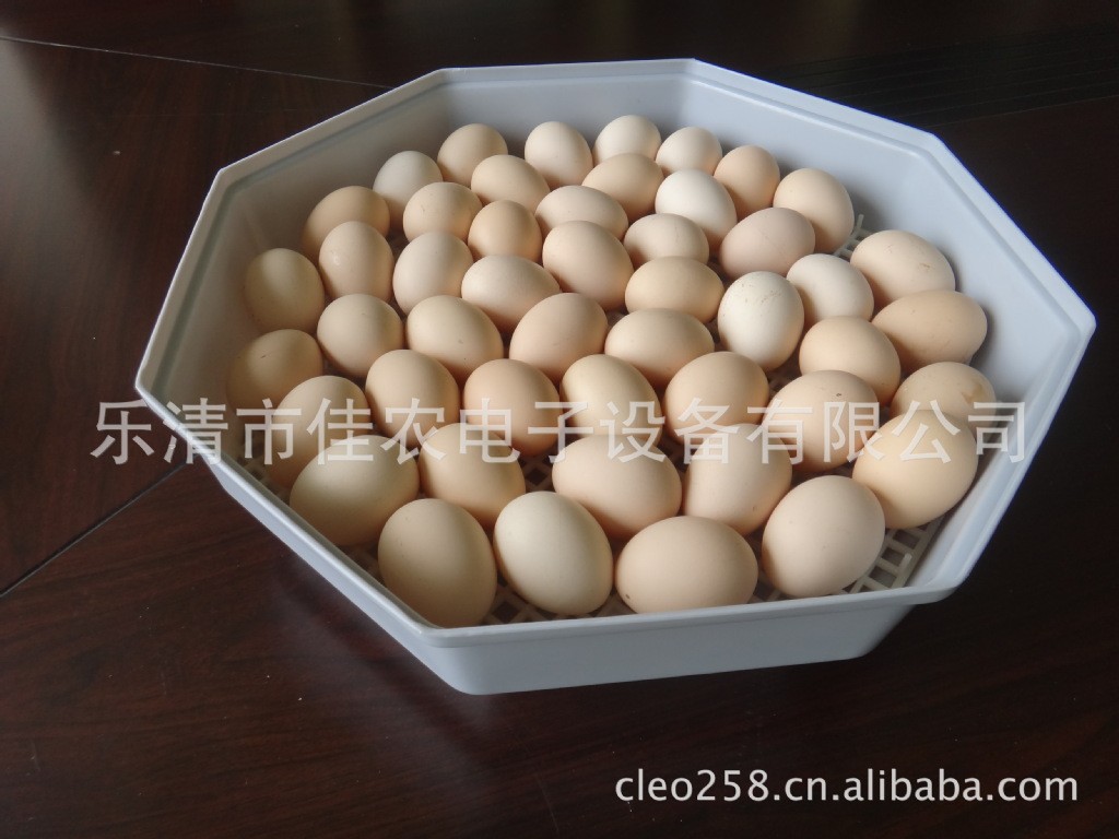 佳农5-60高品质孵化器图5