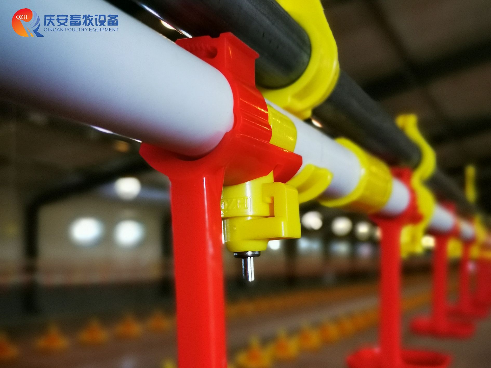 (第一行第二张)