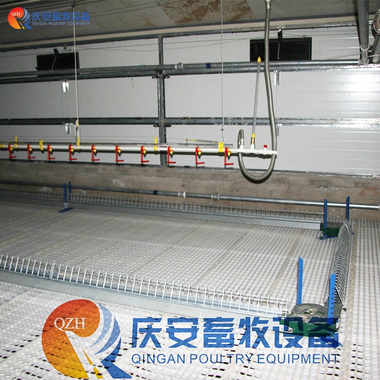 QZH庆安 高端平养 种鸡肉鸡料线 鸡用 链式 养殖场图3