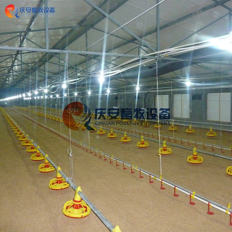 全自动 QZH 高端平养 商品肉鸡料线 鸡用 养鸡畜牧设备图4