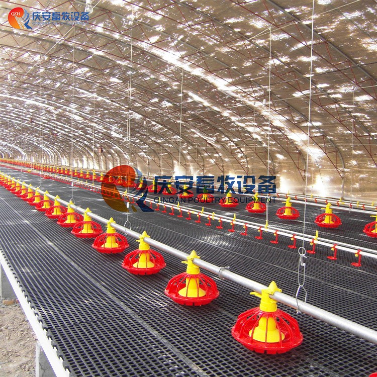 全自动 QZH 高端平养 商品肉鸡料线 鸡用 养鸡畜牧设备图3