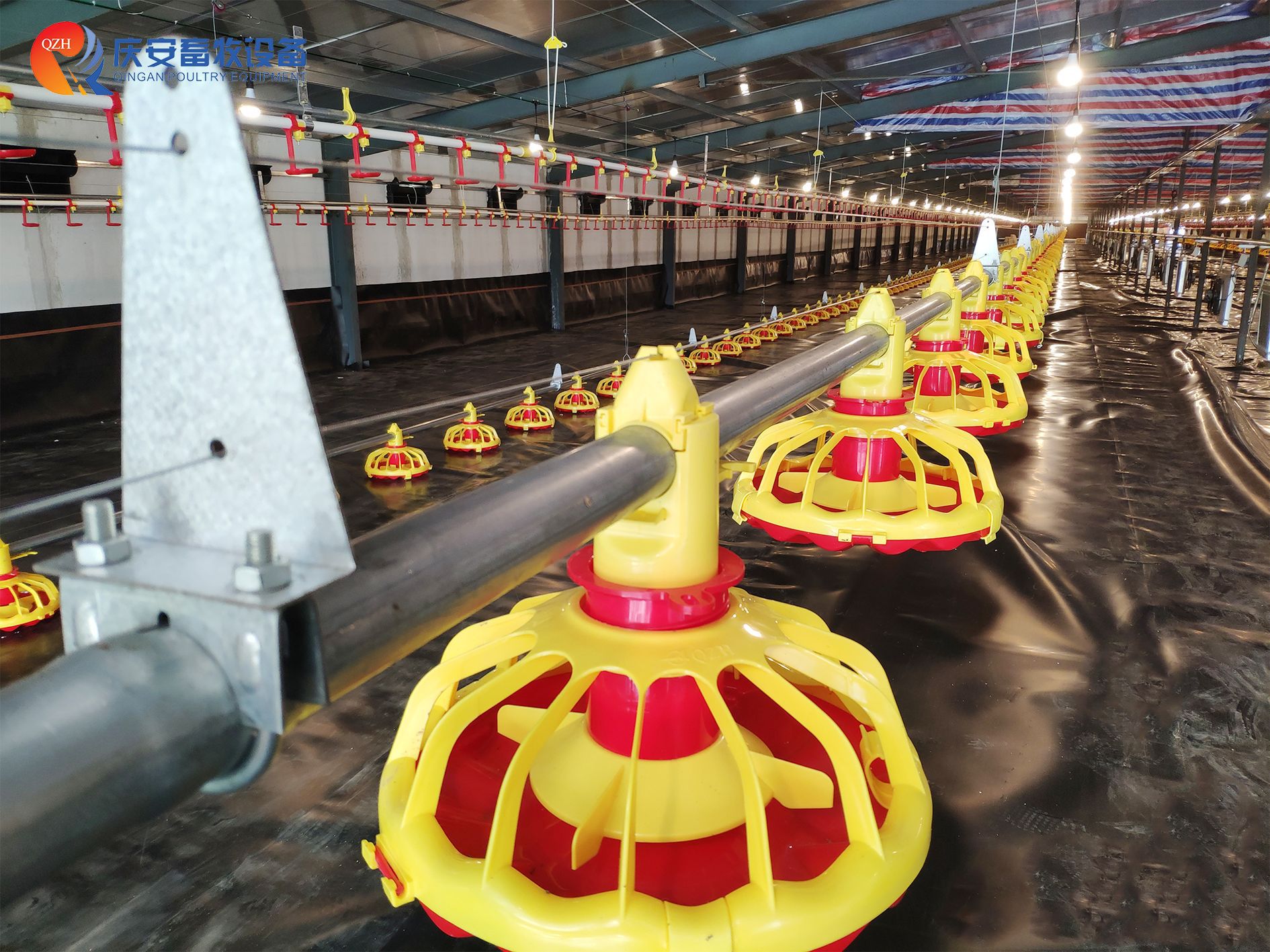 (第二行第二张)