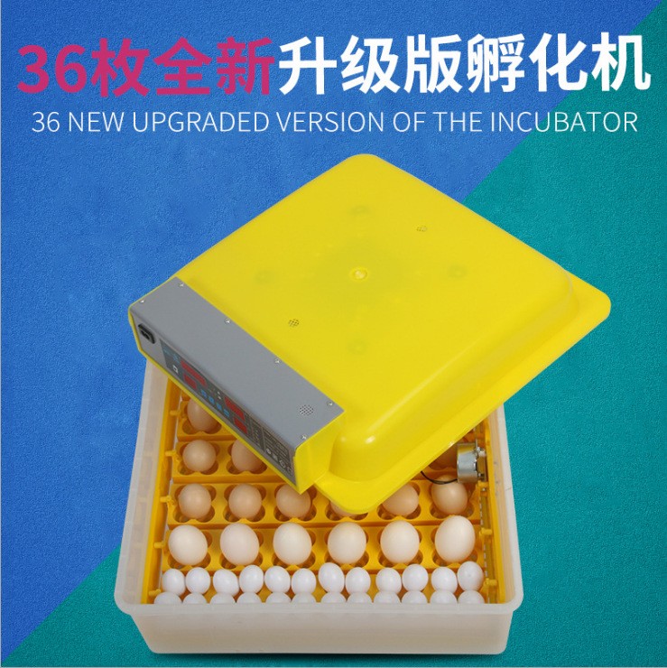 110V/48枚96枚112枚全自动孵化机孵化器孵化箱孵蛋器工厂直发批发图3