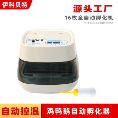 伊科贝特16枚孵化机全自动家用型小鸡鸭鹅小型孵化器鸟蛋孵化箱