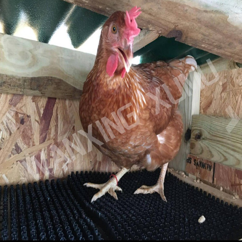 塑料人工草垫子鸡舍的筑巢垫、鸡筑巢箱垫子源头厂家