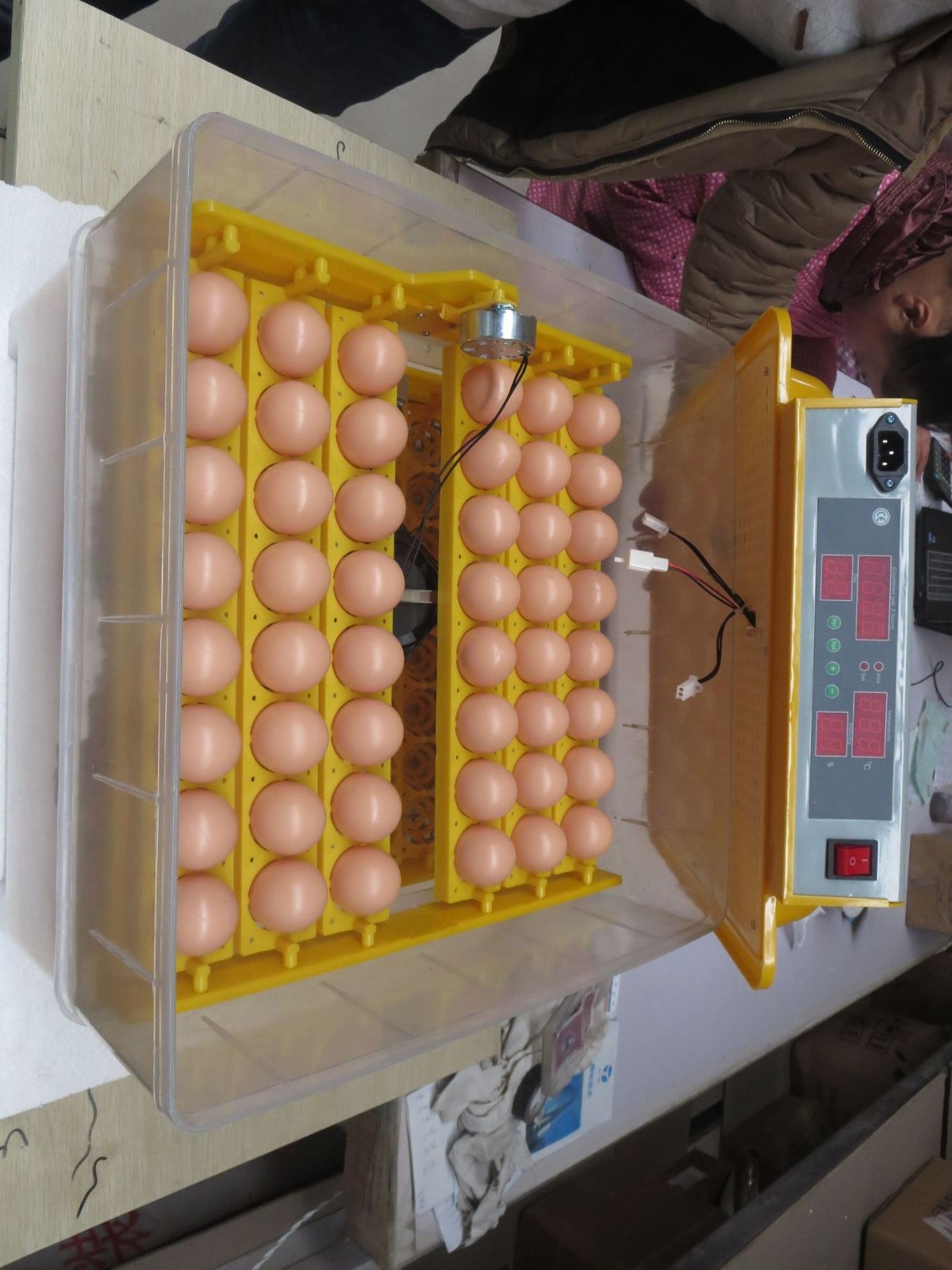 全自动孵化机家用商用鸡鸭鹅孵化器48枚小型卵蛋箱控温孵蛋器图3