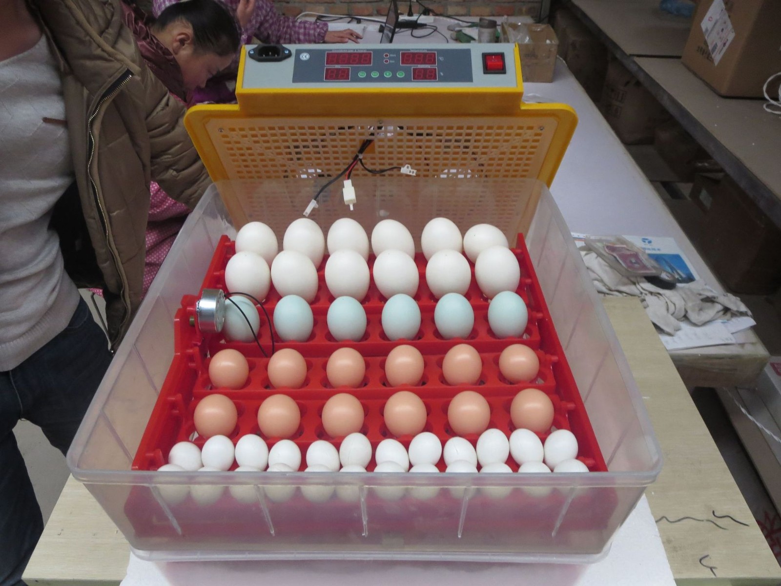 全自动孵化机家用商用鸡鸭鹅孵化器48枚小型卵蛋箱控温孵蛋器图2