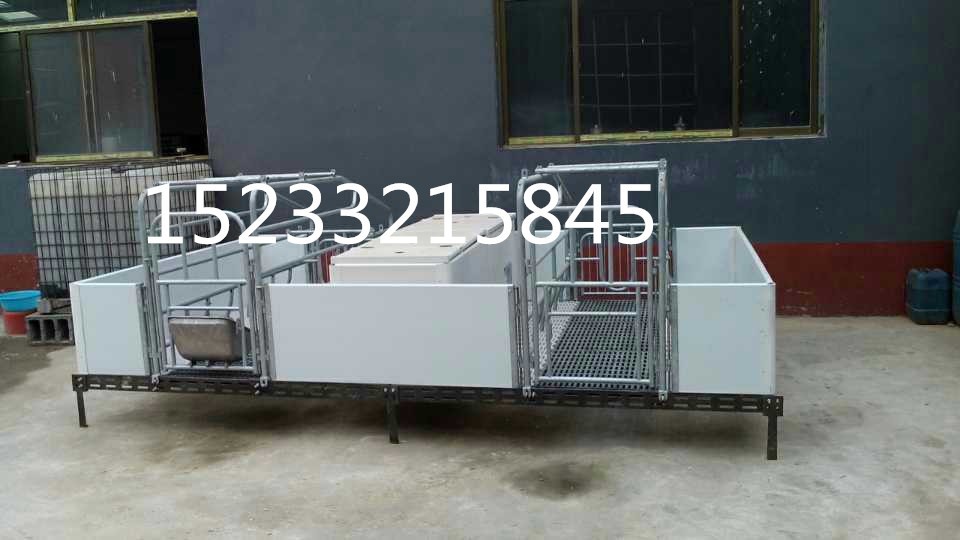 供应母猪产床 PVC板产床 复合产床 新型升级版产床图2