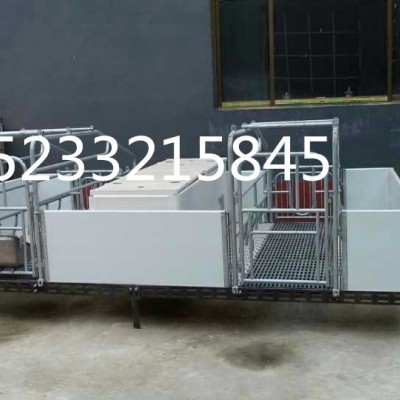 供应母猪产床 PVC板产床 复合产床 新型升级版产床