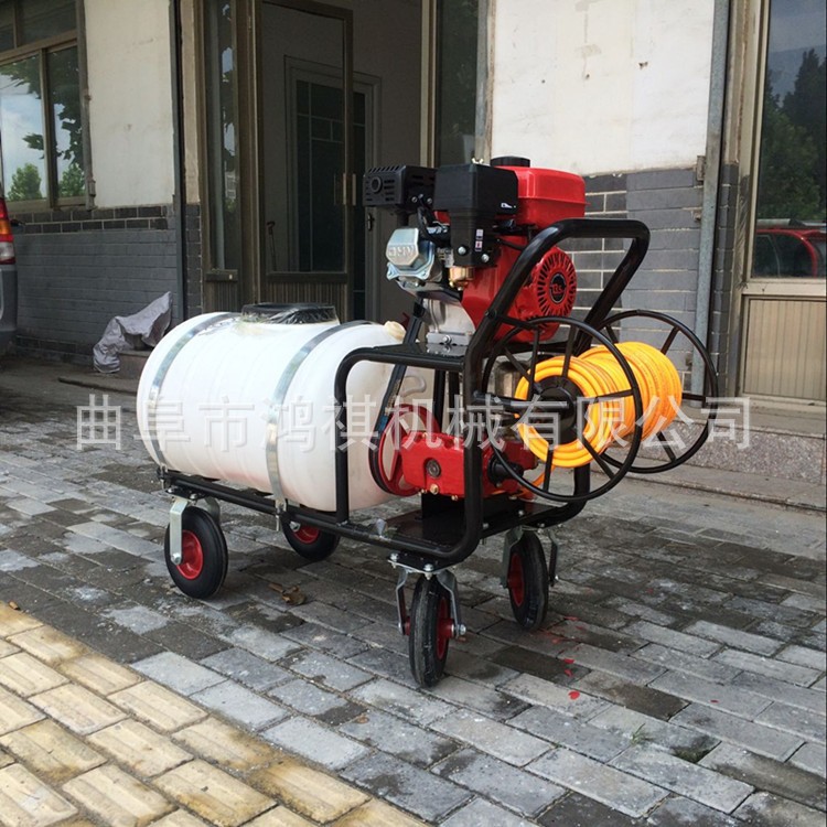 木里藏族 大容量汽油喷雾打药机 小麦汽油打药机 鸿祺机械打药机图3