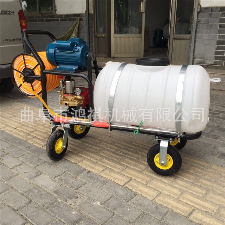 木里藏族 大容量汽油喷雾打药机 小麦汽油打药机 鸿祺机械打药机图2