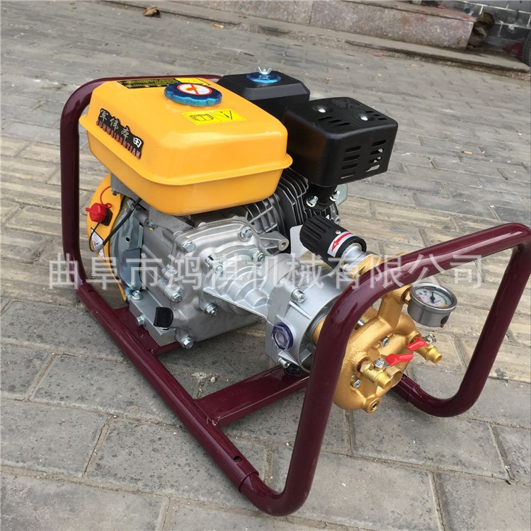 木里藏族 大容量汽油喷雾打药机 小麦汽油打药机 鸿祺机械打药机图5