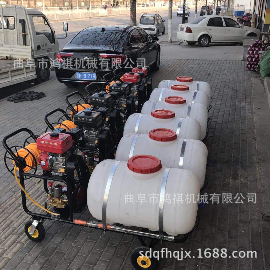 木里藏族 大容量汽油喷雾打药机 小麦汽油打药机 鸿祺机械打药机图4