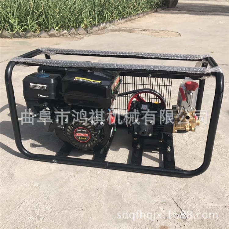 黄石 农药高压打药机 手推式打药机 农用小型推车喷雾机2图5