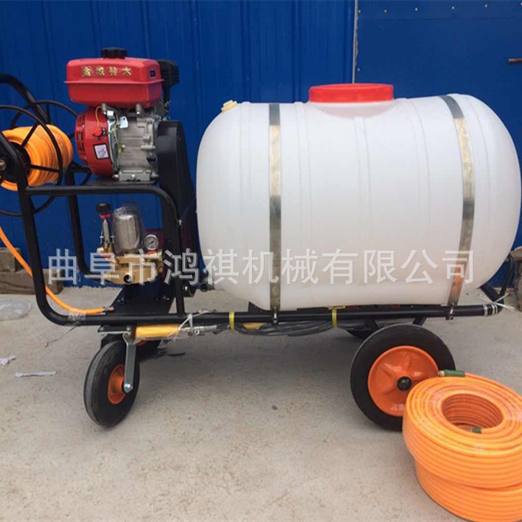 黄石 农药高压打药机 手推式打药机 农用小型推车喷雾机2图2