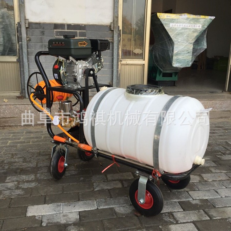 黄石 农药高压打药机 手推式打药机 农用小型推车喷雾机2图3