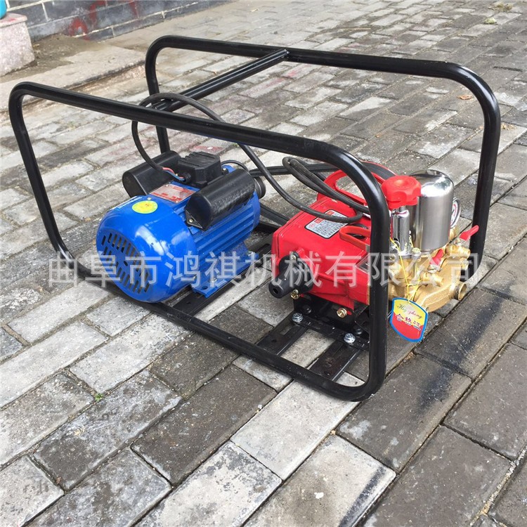 黄石 农药高压打药机 手推式打药机 农用小型推车喷雾机2图4