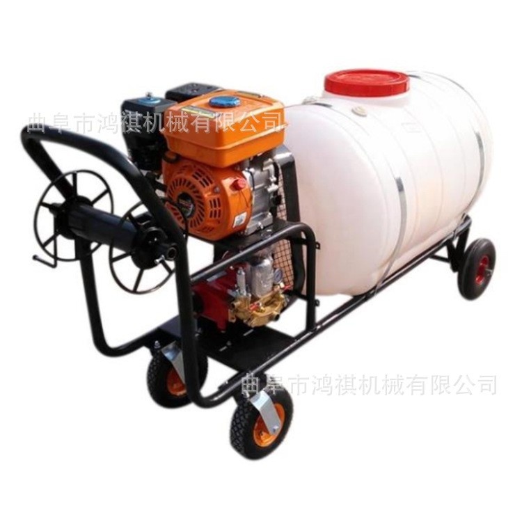黄石 农药高压打药机 手推式打药机 农用小型推车喷雾机2