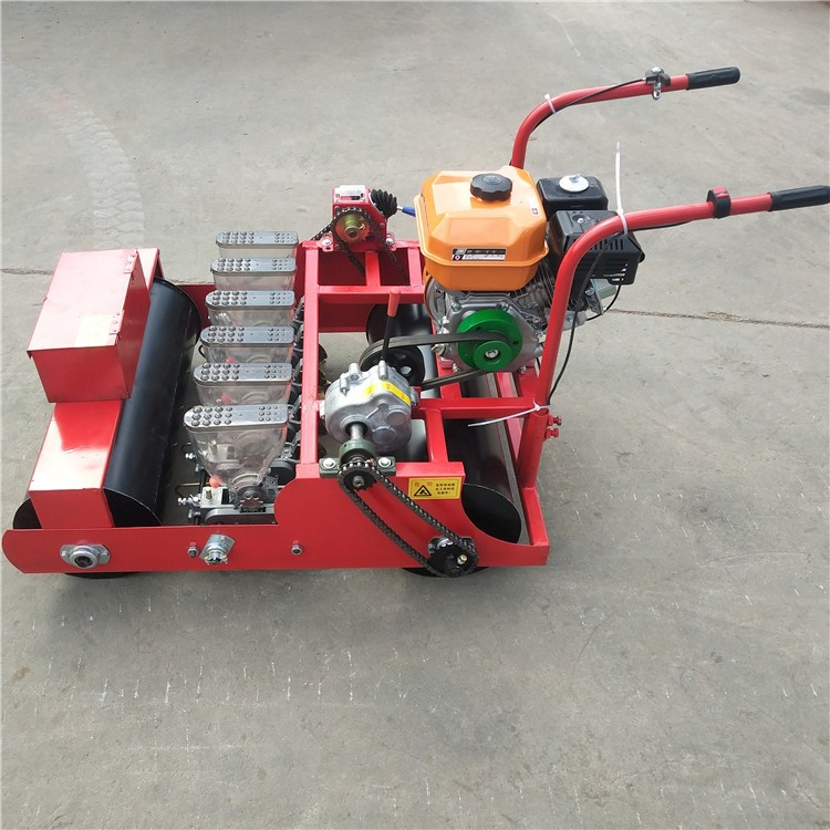 新型农业机械厂家新款汽油自走式 青萝卜 香葱播种机图3