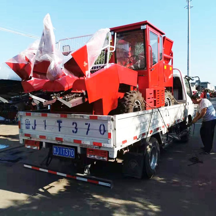 后置扒皮玉米联合收割机 2行倒伏玉米收获机 3行背负式青储玉米收图2