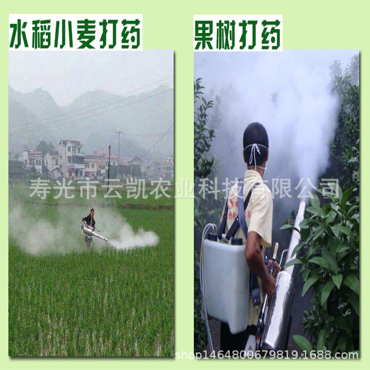 新款脉冲式弥雾机 烟雾弥雾两用机 大棚喷雾机高品质产品厂家直销图4