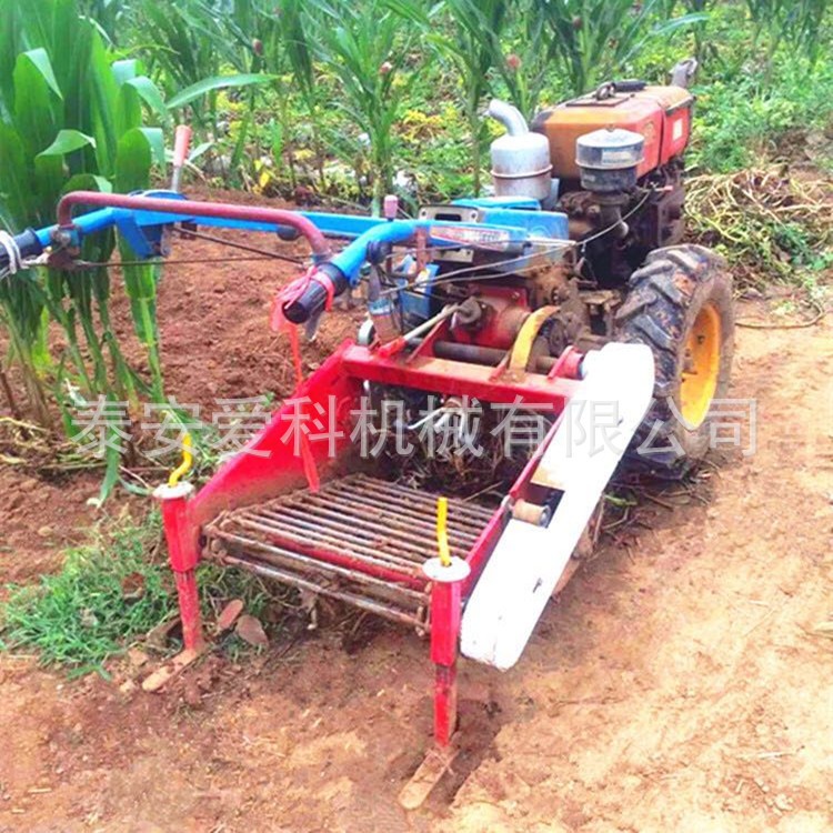 地下果实收获机 马铃薯 地瓜 洋芋收割机 拖拉机带洋芋收获机图5