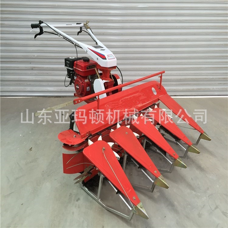 18马力柴油型 割晒机 车头前置玉米收割机 农用牧草放片机亚玛顿图2