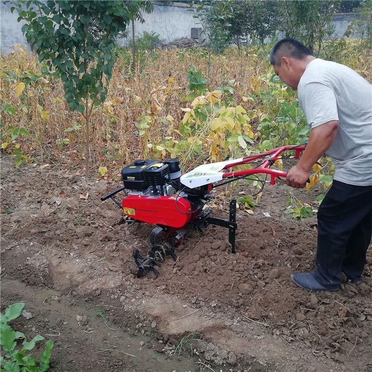 田园耕作机微耕机 手扶车带的旋耕机 圣鲁牌汽油耕地机报价图3