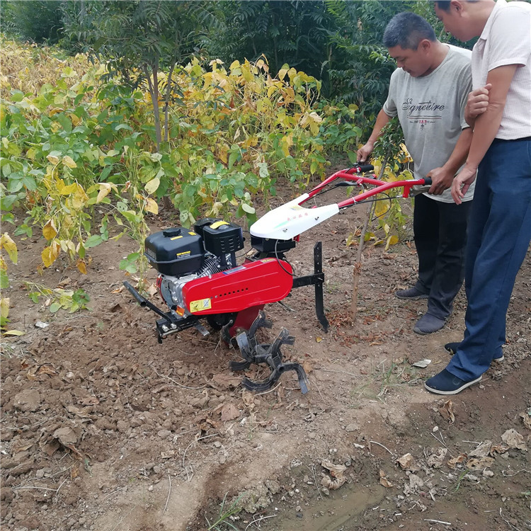 汽油耕地趟田机
