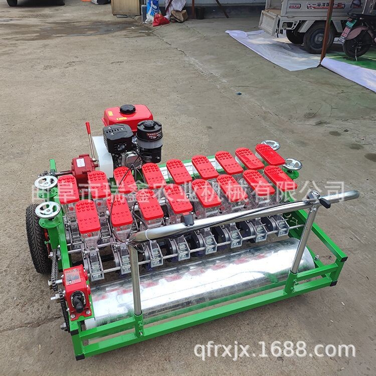 汽油双排蔬菜精密播种机 菠菜生菜播种机 小型手推式萝卜点播机图4