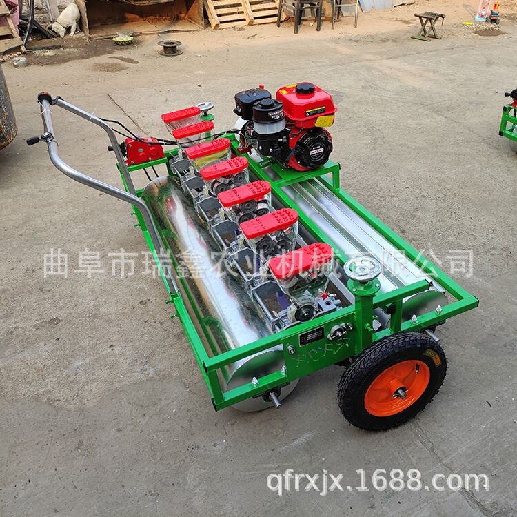 汽油双排蔬菜精密播种机 菠菜生菜播种机 小型手推式萝卜点播机图3