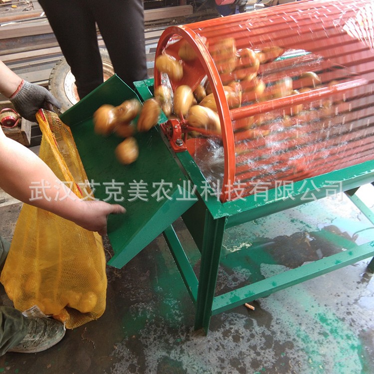 薯类清洗机红薯土豆地瓜芋头电动清洗机不锈钢薯类清洗机洗薯机图2