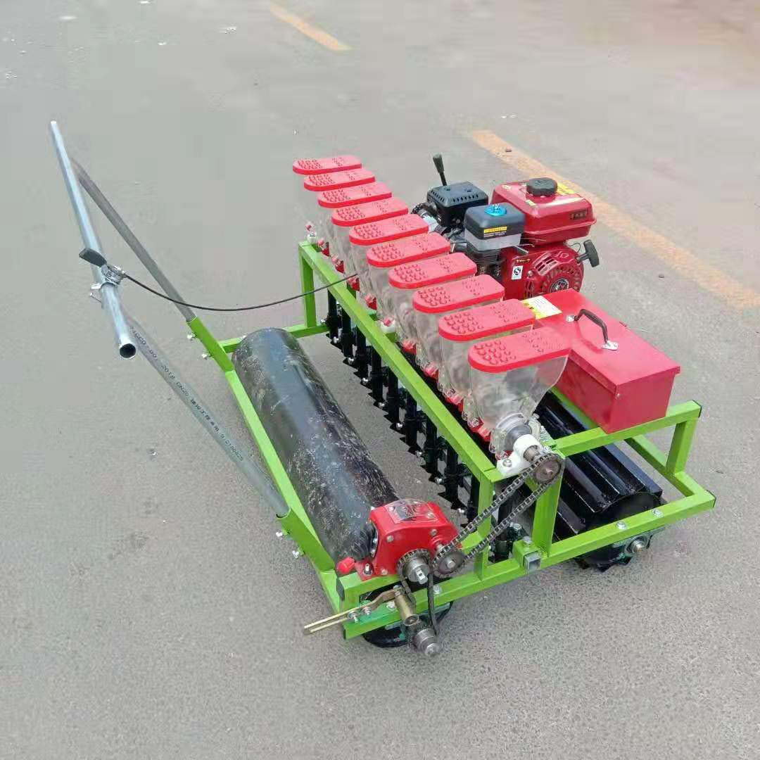 汽油蔬菜精播机