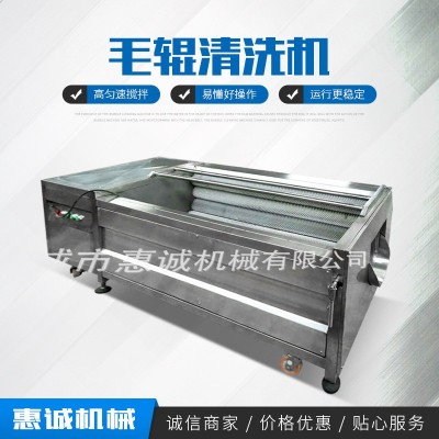 现货全自动中药材毛棍去泥清洗机 全自动天麻红参毛辊清洗机厂家