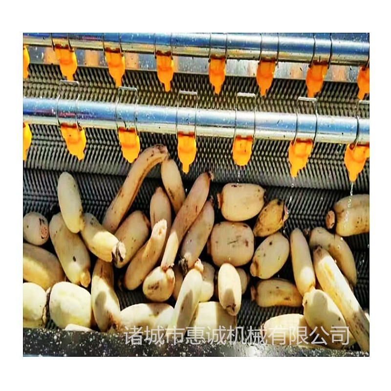 现货全自动中药材毛棍去泥清洗机 全自动天麻红参毛辊清洗机厂家图3