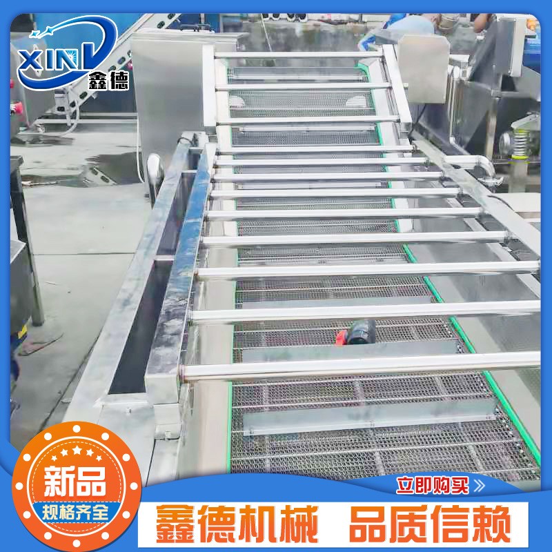 全自动果蔬清洗机 豆角气泡清洗机 包菜茄子喷淋清洗成套设备图2