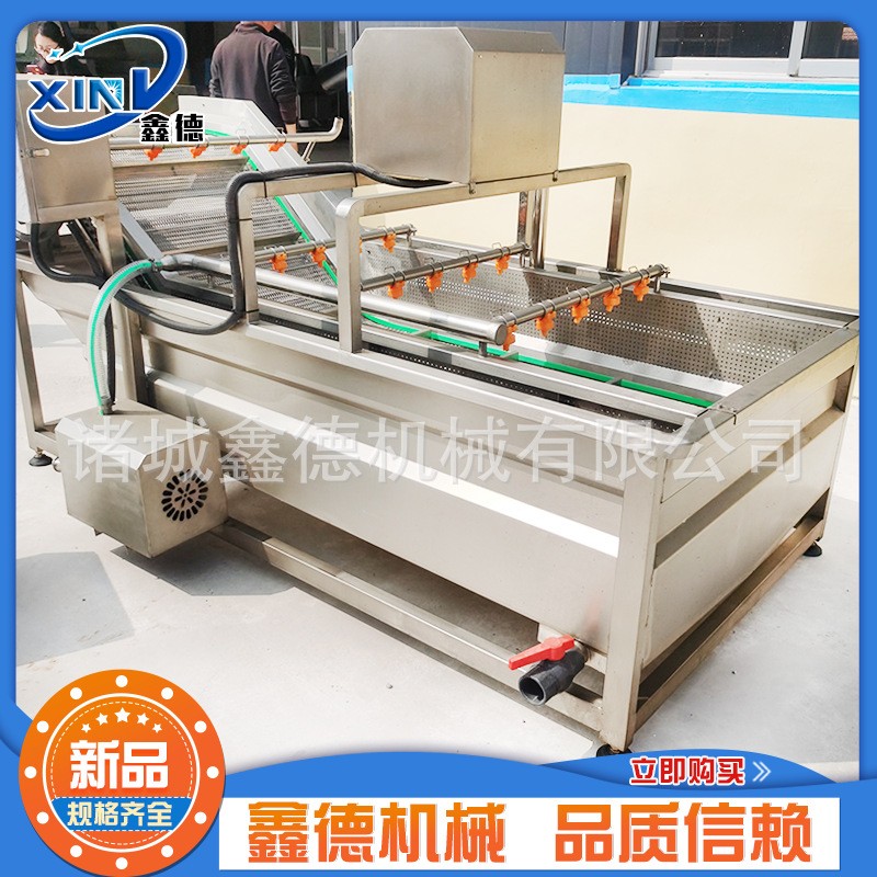 全自动果蔬清洗机 豆角气泡清洗机 包菜茄子喷淋清洗成套设备图4