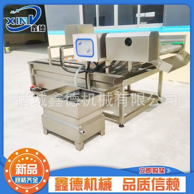 商用不锈钢叶菜类清洗机 莴苣清洗设备 全自动果蔬气泡清洗机