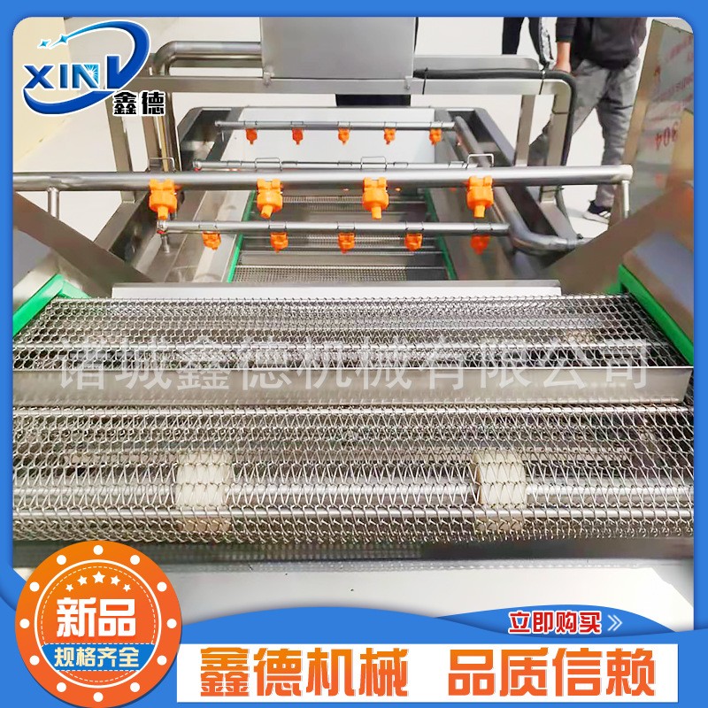 商用不锈钢叶菜类清洗机 莴苣清洗设备 全自动果蔬气泡清洗机图5