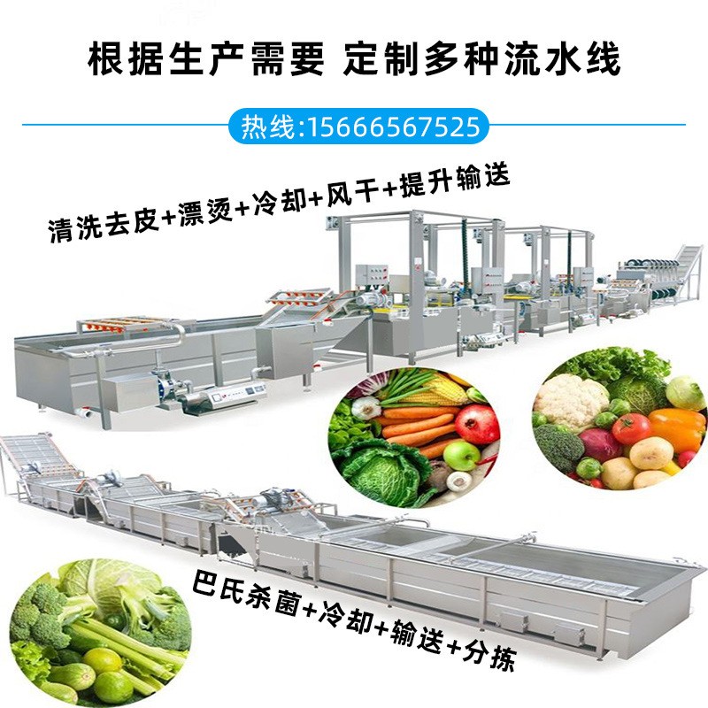 全自动果蔬气泡清洗机 大型柑橘苹果清洗设备 商用小白菜清洗设备图5