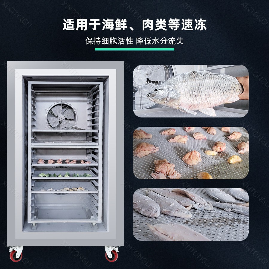 包子馒头水饺速冻机 立式商用低温冷冻设备 鱼片海产品液氮速冻柜图4