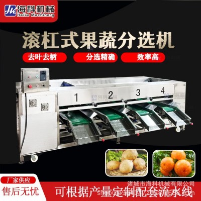 商用滚杠分级机 红薯马铃薯小番茄水果分选机 马蹄芒果柠檬选果机
