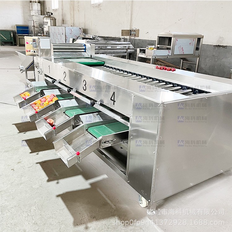 商用滚杠分级机 红薯马铃薯小番茄水果分选机 马蹄芒果柠檬选果机图3