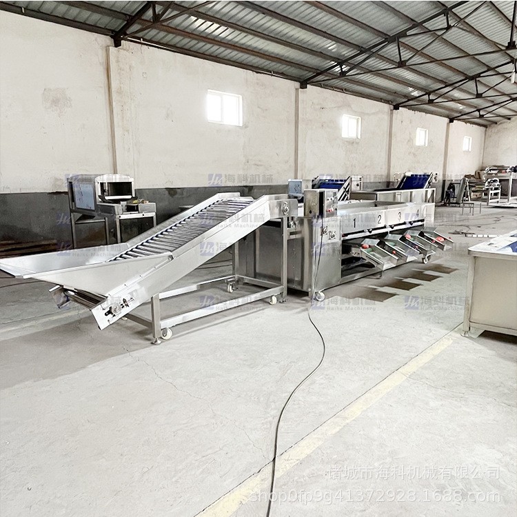 水果选果机分选机沃柑圣女果番茄土豆柠檬筛选机猕猴桃果蔬分级机图5