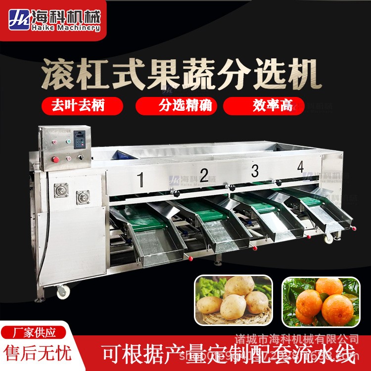 水果选果机分选机沃柑圣女果番茄土豆柠檬筛选机猕猴桃果蔬分级机图2