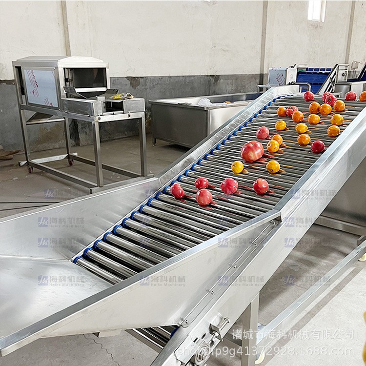 水果选果机分选机沃柑圣女果番茄土豆柠檬筛选机猕猴桃果蔬分级机图4