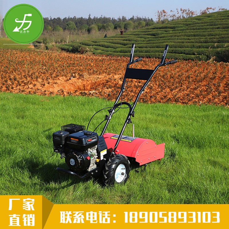 汽油旋耕机 厂家批发松土机微耕机 大功率开沟机制定图2