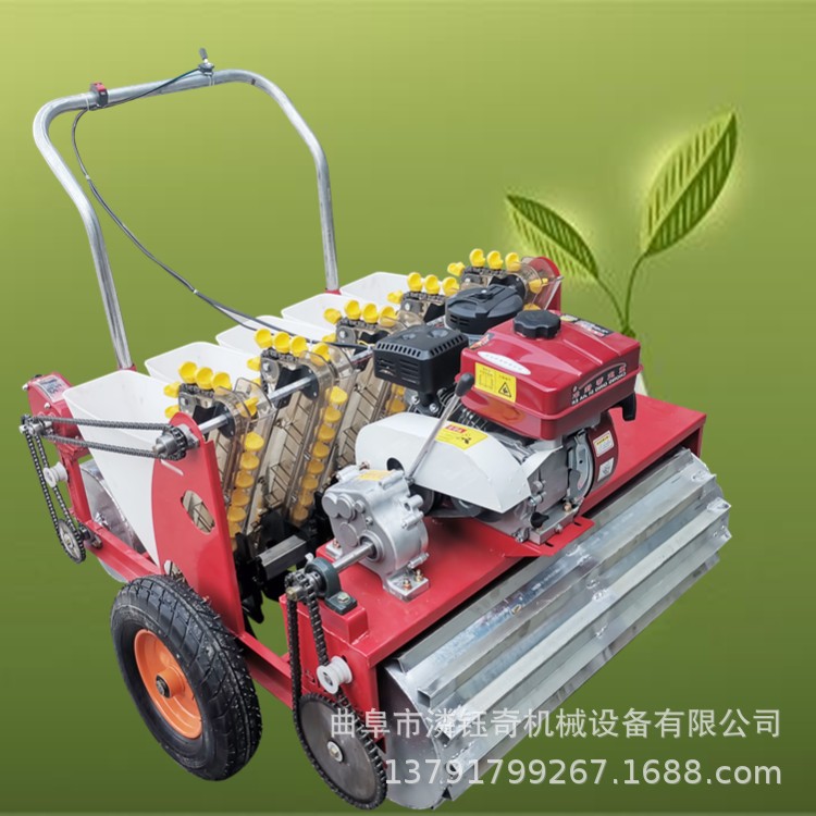 潾钰奇大蒜播种机 汽油动力6行种蒜机 五行农用大蒜种植机图5